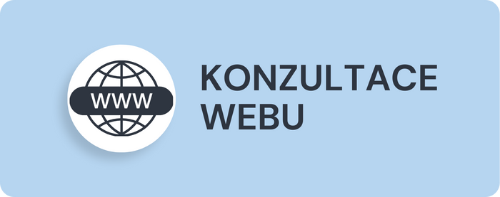 Služba Konzultace webu